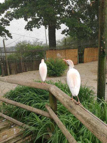 Výlet ZOO Hluboká nad Vltavou  Výlet ZOO Hluboká nad Vltavou 