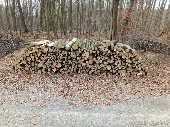 Tvrdé palivové dřevo - Uherské Hradiště
