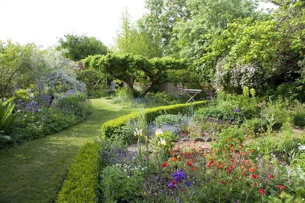 beds surrounded by hedges