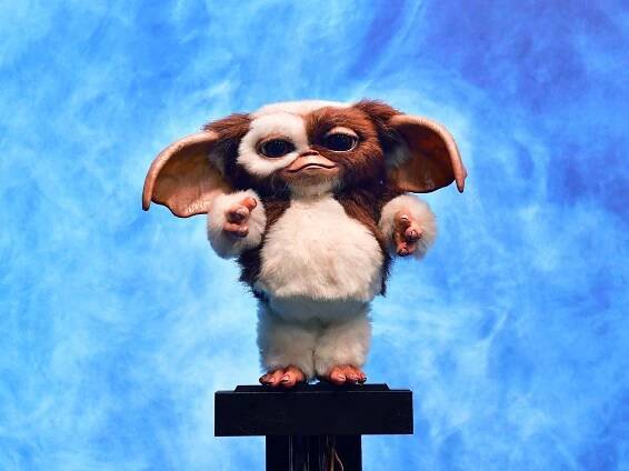 'Gremlins 3' script lands on Steven Spielberg's desk — Could Gizmo finally return to the big screen?