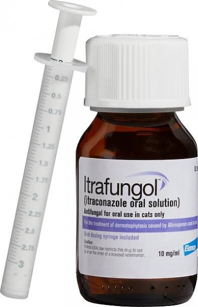 Plísňové onemocnění morčat (dermatofytoza) – CHS Anubis