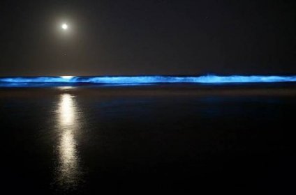 červený příliv - bioluminiscence - stock snímky, obrázky a fotky
