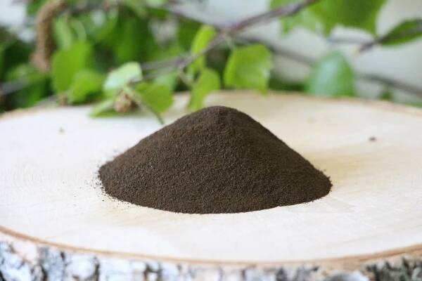 Extrakt CHAGA březová 30 g sublimovaný prášek 12:1
