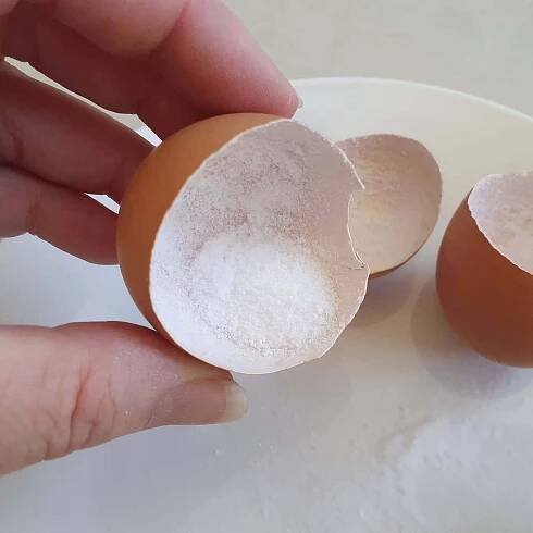 Eggshell - Infinite Potential for Decorating Wallpaper