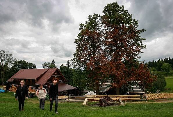 Dřevjanka u Zbuja je na prodej
