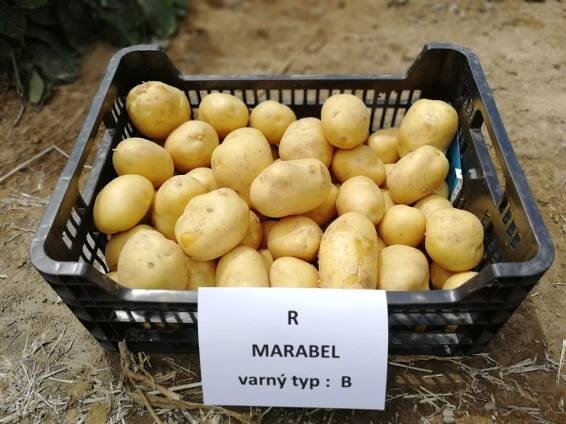 Marabel – Obchodiště.cz