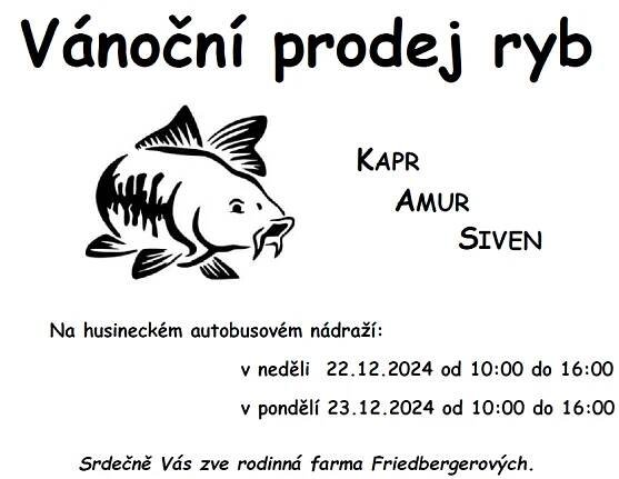 Vánoční prodej ryb