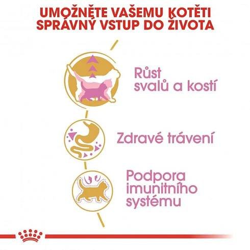Royal Canin Kitten British Shorthair 10 kg