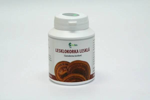 Lesklokorka lesklá (Ganoderma lucidum) - spóry(kapsle)