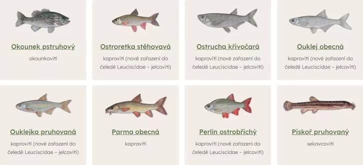 Užitečné info - iRybářství
