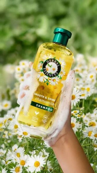 HERBAL ESSENCES SMOOTH & SHINE chamomile SHAMPOO bottle held in soapy hand, surrounded by chamomile flowers. 
