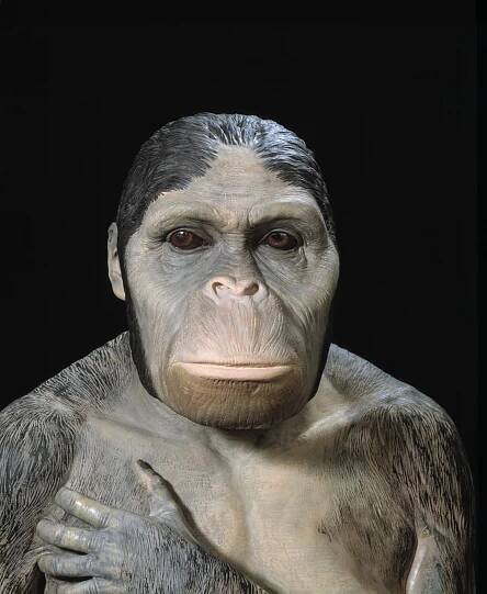Má jít o další důkaz, že evoluce neprobíhala lineárně