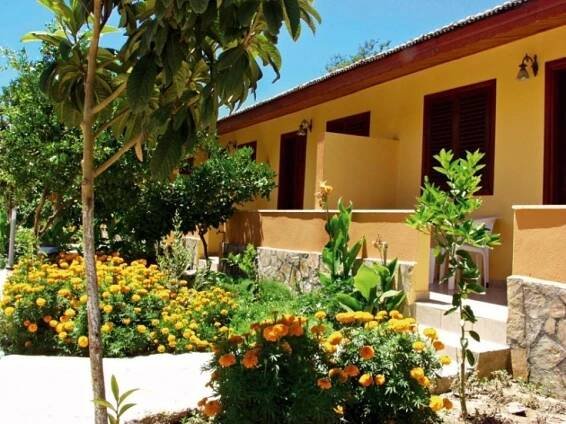Özlem Garden