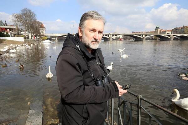 Ptáci mizí, zpívají tišeji a méně pestře. Většina druhů žije v Praze, třetina na letišti, říká ornitolog