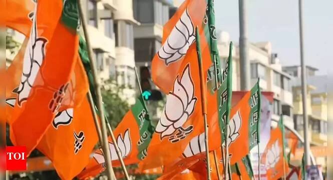 BJP new chief likely by mid-July with state units nearly in place | India News – Times of India