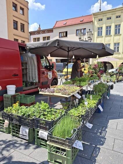 Beskydský farmářský trh 19.6. - Beskydské farmářské trhy