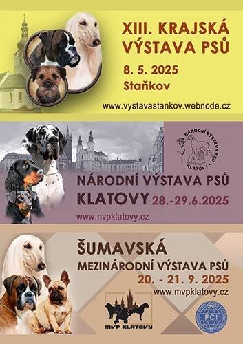 Pozvánky
