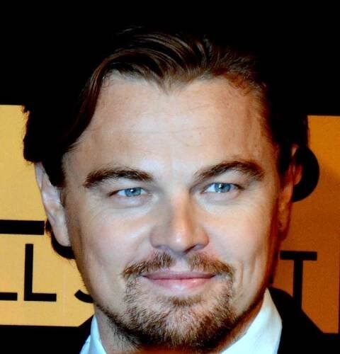 The Wolf of Wall Street (2013) – Wikipedia