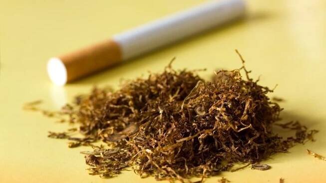 Řezaný tabák k balení cigaret prudce zdraží - Novinky