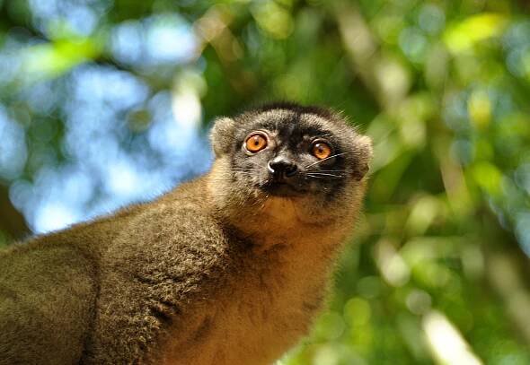 MADAGASKAR - CESTA MEZI AFRIKOU A ASIÍ 2025