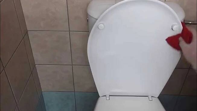 Jak perfektně vyčistit toaletu a všechna její zákoutí