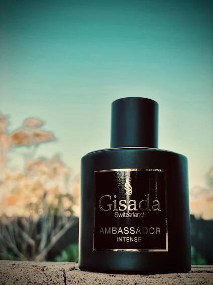 Ambassador Intense Gisada pro muže