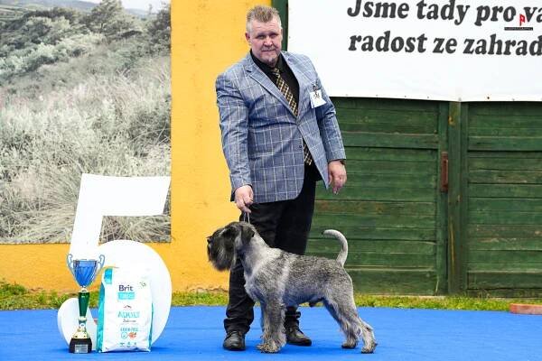 Výstavy ČMKU