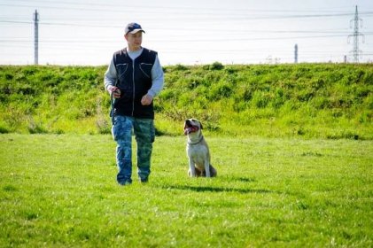 03 – dogtrainer – Výchova a výcvik psov
