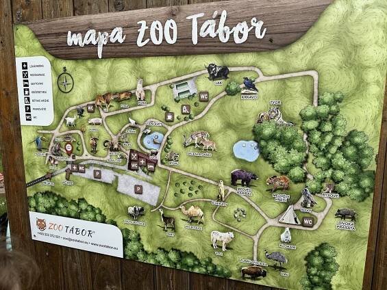 Třeťáci vyrazili za vyjmenovanými slovy do ZOO | Pelhřimovské noviny 