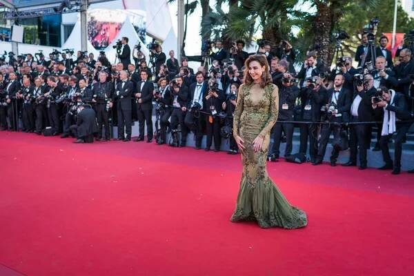 Elsa Zylberstein au Festival de Cannes — Image