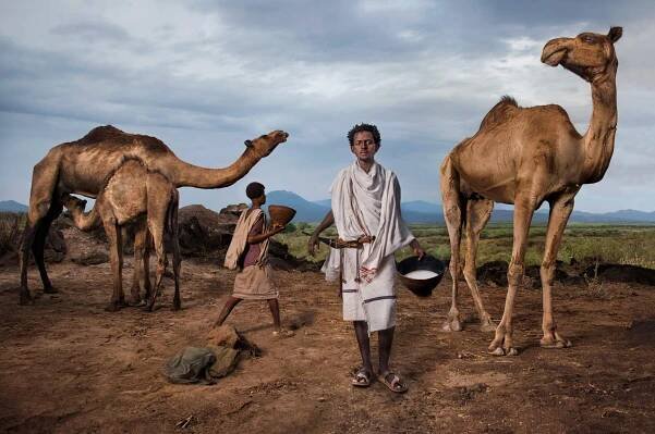 camel milk - slow food - girl gone authenticcamel milk - slow food - girl gone authentic