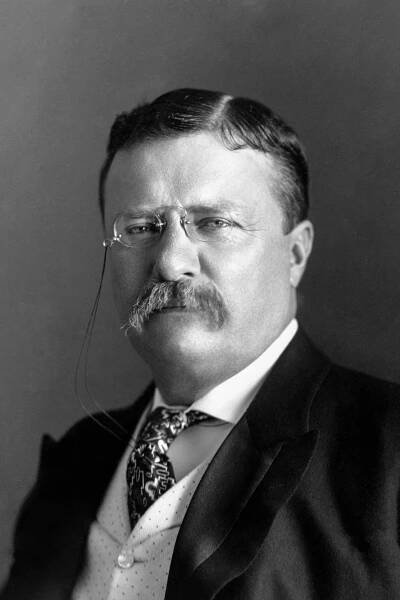 Theodore Roosevelt herec