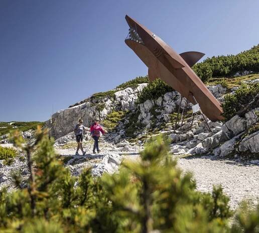 Wanderregion und Skigebiet | Dachstein Krippenstein
