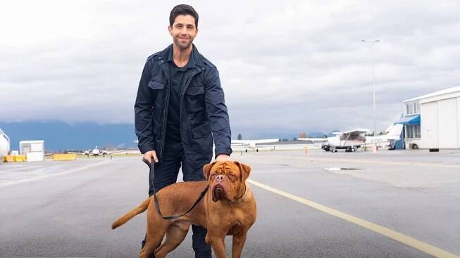 Turner a Hooch – Filmy a Seriály online zdarma.