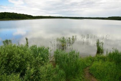 Naučná stezka Pernštejnskými rybníky – Turisticky gurman