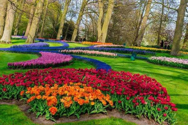 Do Holandska za krásou květin i hlavního města: jeden den v parku Keukenhof a návštěva Amsterdamu