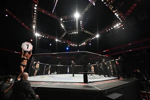 UFC Live Streams