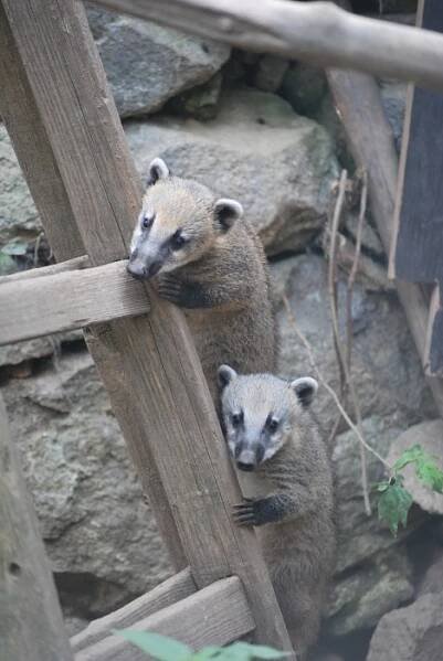 ZOO Na Hrádečku 2