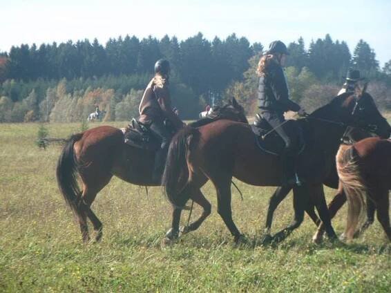 Kadlecová: Dětská kategorie mi unikla, závodění mě zprvu nelákalo | Jezdci.cz