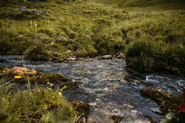 Apriacher Alm wandern