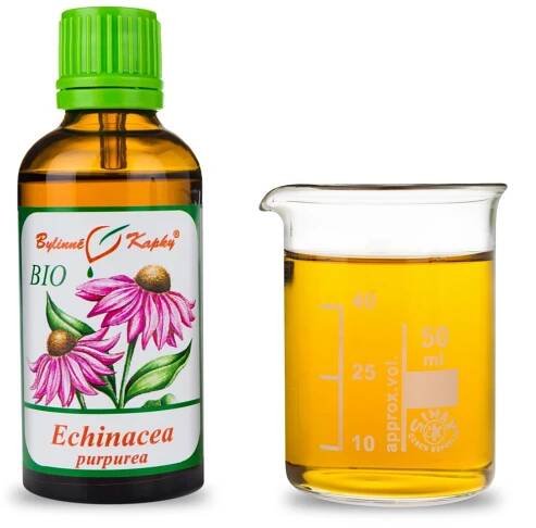 Echinacea purpurea (třapatka nachová) BIO - bylinné kapky (tinktura) 50 ml