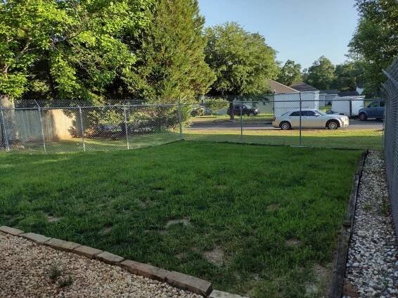 back yard