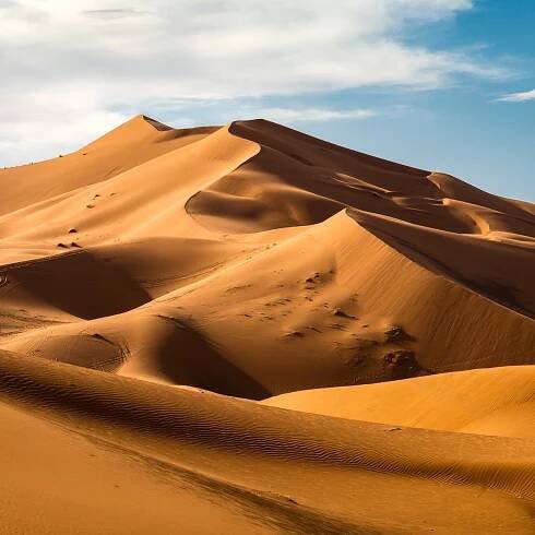 The Sahara Desert—Yes, That One—Remarkably Grows Green Every 21,000 Years