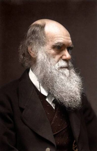 Charles Darwin by https://www.deviantart.com/zuzahin on @DeviantArt