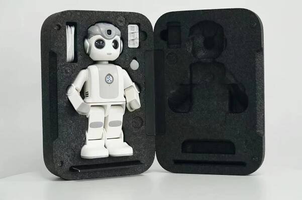 UBTECH Alpha Mini Robot