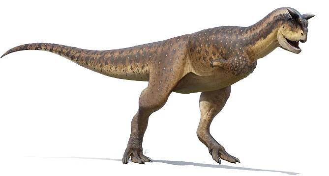 Artist's recreation of Carnotaurus