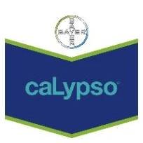 Calypso 480 SC 1 l - žraví a saví škůdci - E-agro.cz