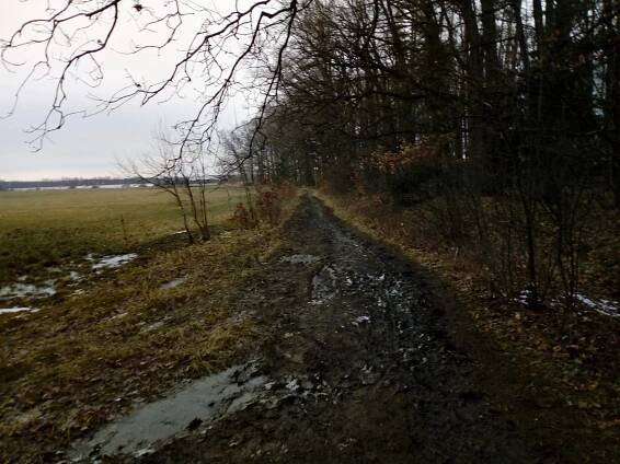 Temný Branišovský les: Duchy nenašli, hřbitov zvířátek ano