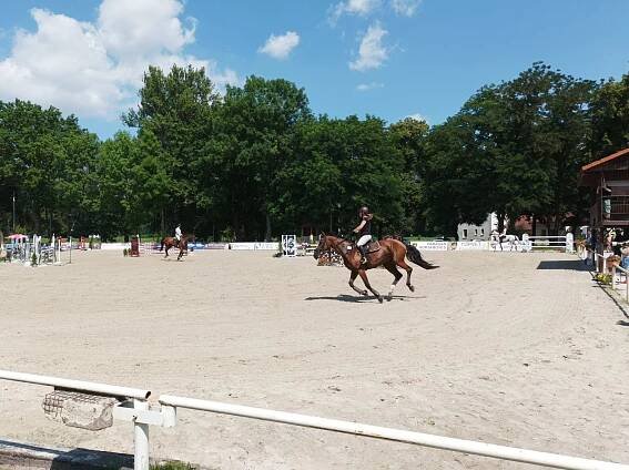 Jezdecká škola Equus Kinsky foto 3