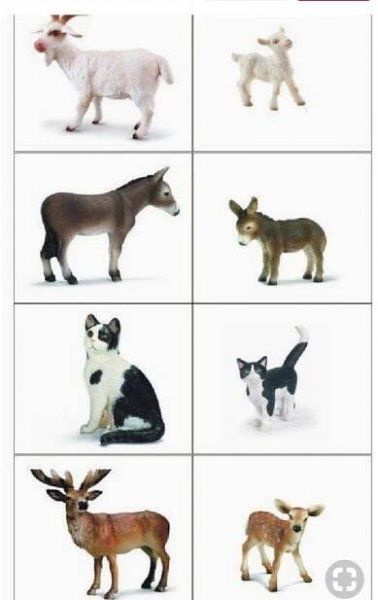 Animal Activities for Kids